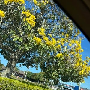 Meet your Posher, Posh for